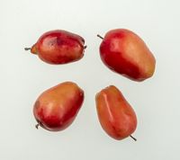 Rødkødet paradisæble